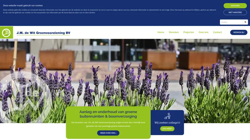 Website van De Wit Groenvoorziening