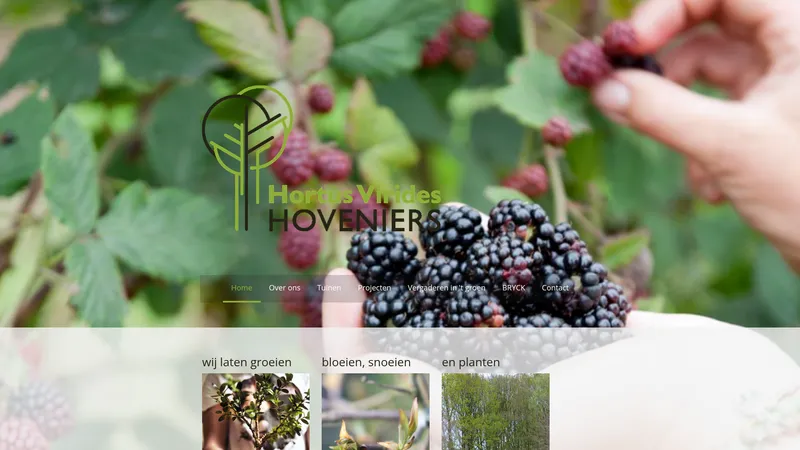 Website van Hortus Virides. Hovenier in Eersel