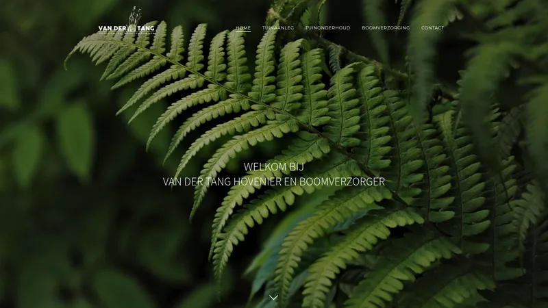 Website van Van der Tang hovenier en boomverzorger